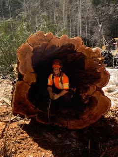 mining log clearing